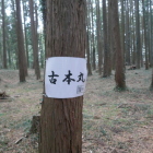 古本丸ですぞ