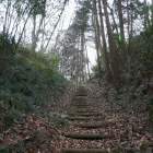 登城道も竪堀の雰囲気