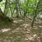 太閤ヶ平陣