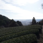 城址に向かう