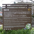 独鈷の湯
