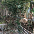 本丸土塁
