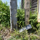 二の丸