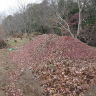 土塁もどき