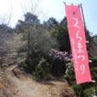 さくらまつり