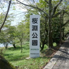 桜の名所