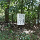 ここから撃ちました