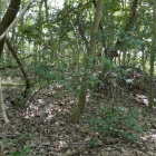 土塁