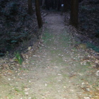 土橋