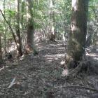 暑いしこのあたりで戻る