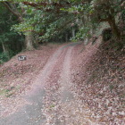 神社まで車道が付いている