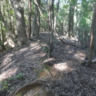 尾根が塁となって続く