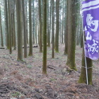 中城