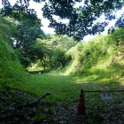戻ってきた