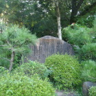 石碑は草木に隠れ