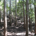 二つ目の郭より北を目指す。