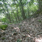 堀跡か