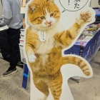 松江にて