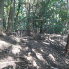 尾根を陣地に活用