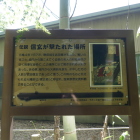 信玄が撃たれた場所