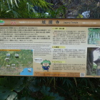 城願寺