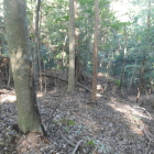 まあまあの人数が籠れそうだ。