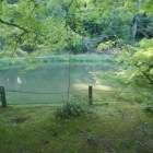 片葉の葦の伝説　弥陀池