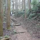 石垣が見えてきた