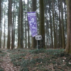 北城