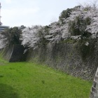 堀切　二の丸東側