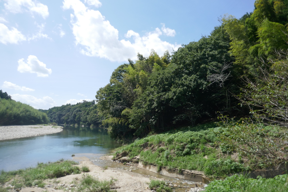 豊川から城址方向を見る