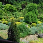 虚空園