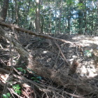 天神山陣地の北の堀切