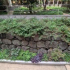 旧文部省庁舎 中庭