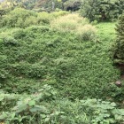 空堀　天守台から見た光景