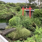 三の丸　池と社