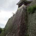 隠門続櫓と本丸石垣