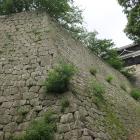 巽櫓と本丸石垣