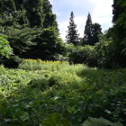主郭
