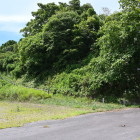城址公園入口