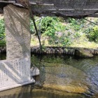 池
