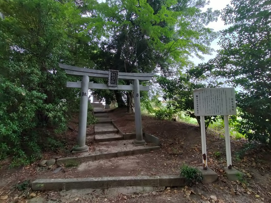全景