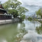 城下を潤す水堀1