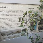 イオンモール神戸南エントランス2