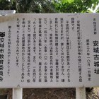 パネル