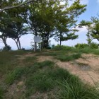 本丸全景