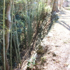 本丸東石垣を上より斜めに確認中央辺り