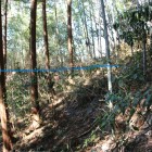 青線が西の丸Ⅲの稜線