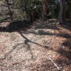 二の丸南土塁中央部