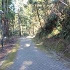 北の丸西の崖切岸と登城路
